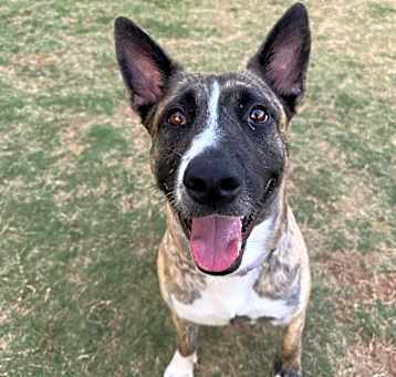 Photo of Zoe
