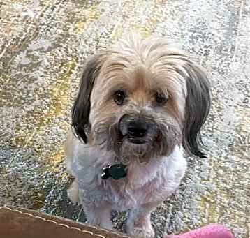 Photo of Alphie