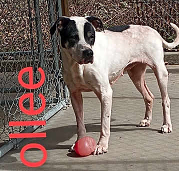 Photo of Mollee