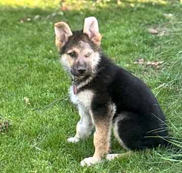 Photo of Mara