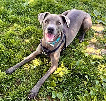 Photo of Donna aka Smokey