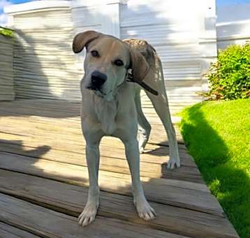 Photo of Jack