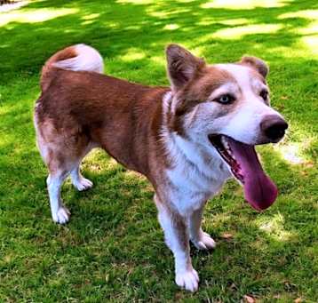 Photo of Duke