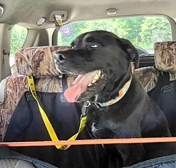 Photo of Gunner