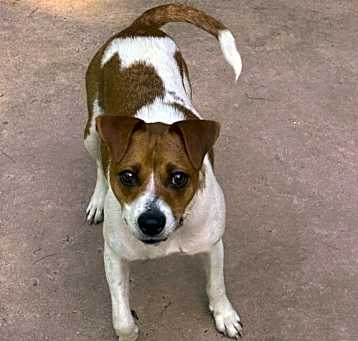 Photo of Stella