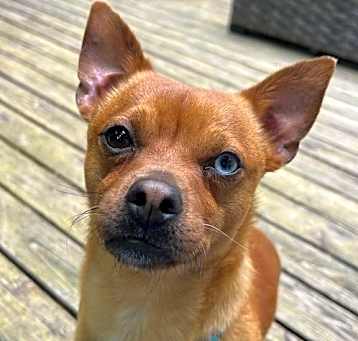 Photo of Benny