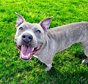 Photo of Millie Mae