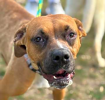 Photo of Sasha C000-235-Chino Hills Location