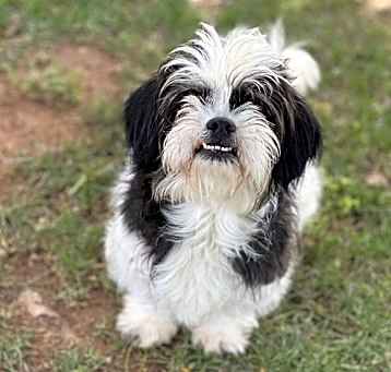 Photo of Penelope