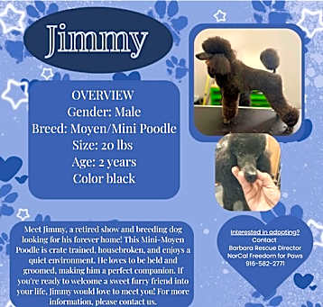 Photo of Jimmy