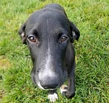 Photo of Dutchess