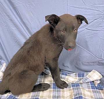 Photo of *JETT