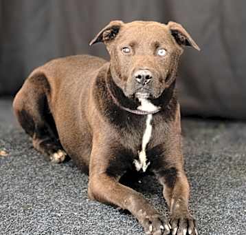 Photo of WILLIE