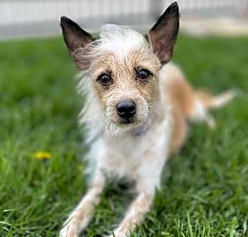 Photo of Twiggy