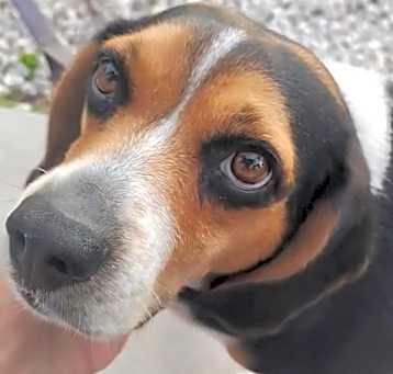 Photo of Look at those eyes!!