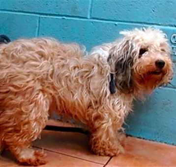 Photo of PACO