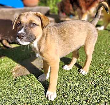 Photo of Cash