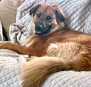 Photo of Max