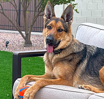 Photo of Hazel