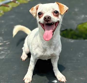 Photo of Heidi