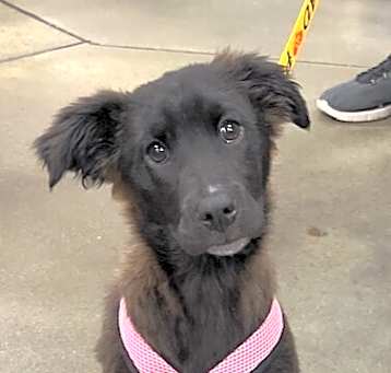 Photo of Baby Opal
