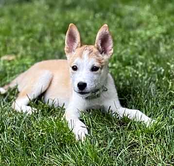 Photo of Babe Madeline