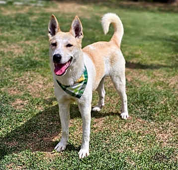 Photo of Sooho