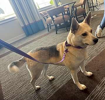 Photo of Piper