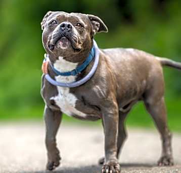 Photo of Mugsy