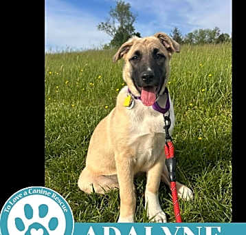 Photo of Adalyne (A-Listers) 051025