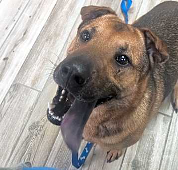 Photo of Zeus