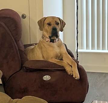 Photo of Indy