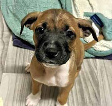 Photo of Reese