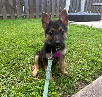 Photo of Candy