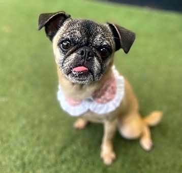 Photo of Georgina