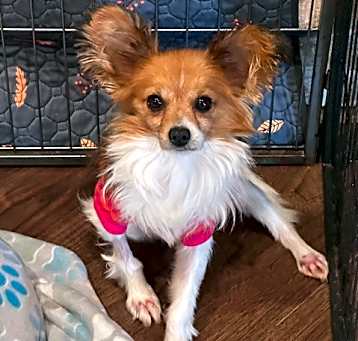Photo of Fred