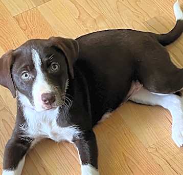 Photo of Lucy
