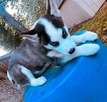 Photo of Jada