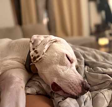 Photo of Lilah