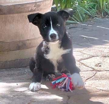 Photo of Sophie