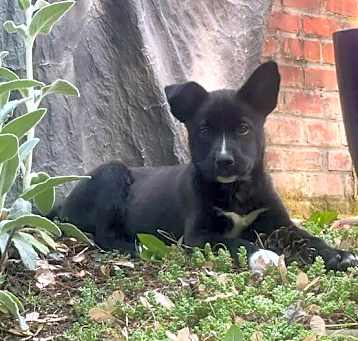Photo of Baby Samantha
