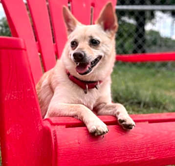 Photo of Ziggy