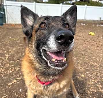 Photo of Indy