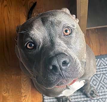 Photo of Rico