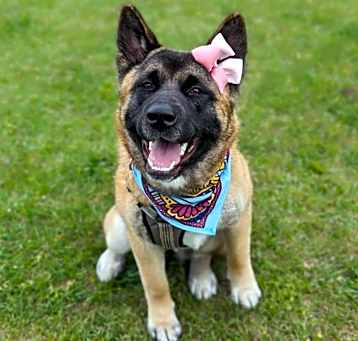 Photo of Kiki