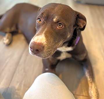 Photo of Ellie