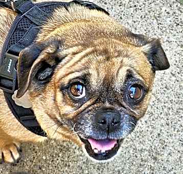Photo of Bugg