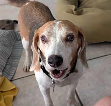 Photo of Kutter