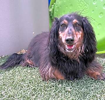 Photo of Captain
