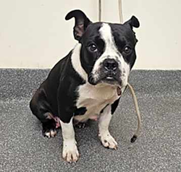 Photo of FRANNY
